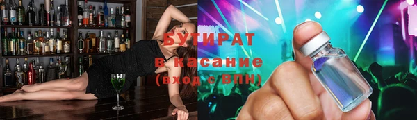 индика Няндома