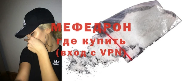 индика Няндома