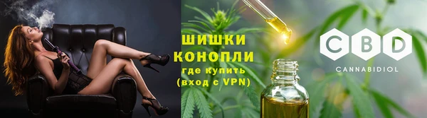 мдма Новозыбков