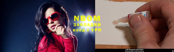 индика Няндома