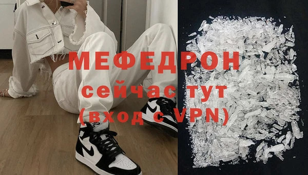 индика Няндома