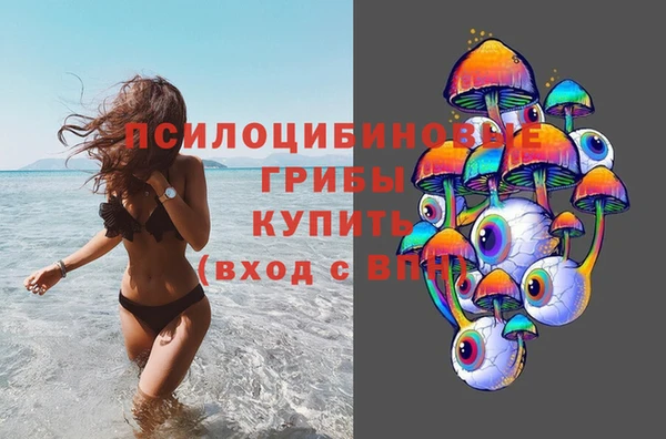 индика Няндома