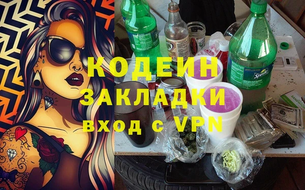 индика Няндома