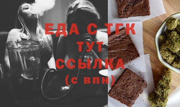 стаф Ельня