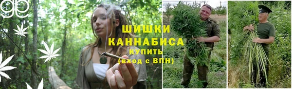 шишки Абдулино
