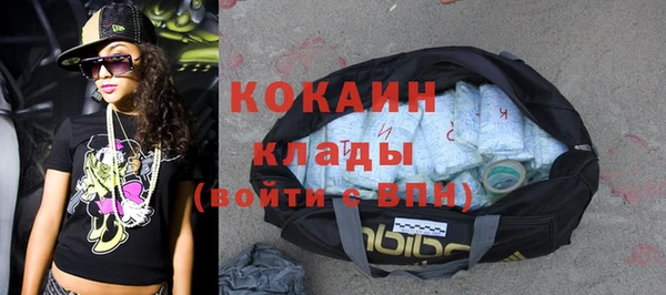 индика Няндома