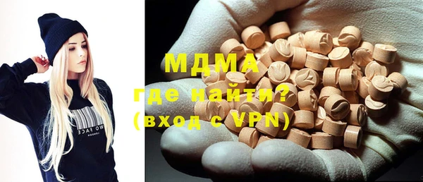 индика Няндома