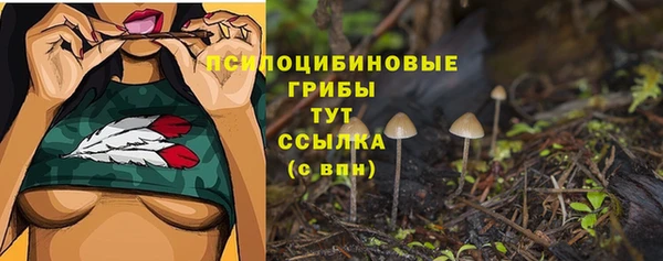 шишки Абдулино