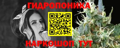 тгк Балахна