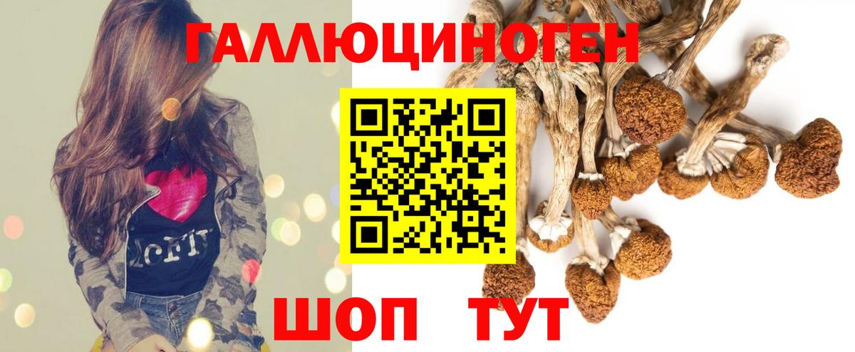 Галлюциногенные грибы прущие грибы Белогорск