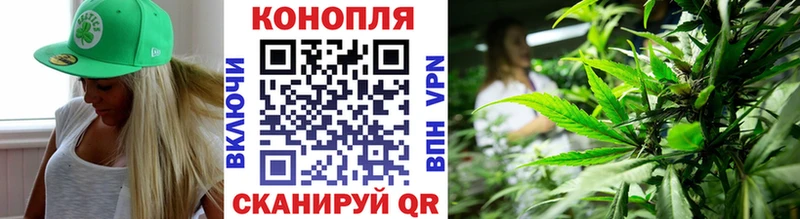 купить   Белогорск  Марихуана семена 
