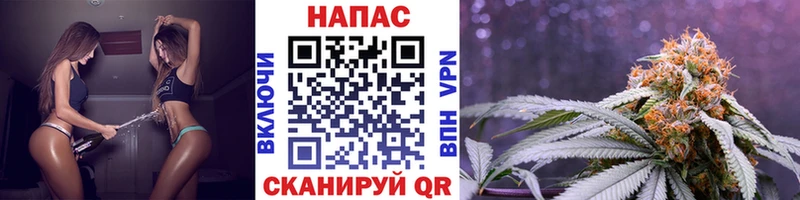 Шишки марихуана гибрид Белогорск