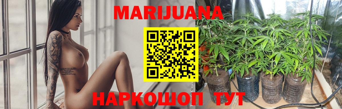 Каннабис OG Kush Белогорск